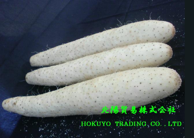 長芋